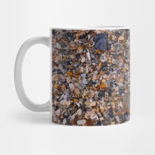 Seashells on the Beach in Florida Mug